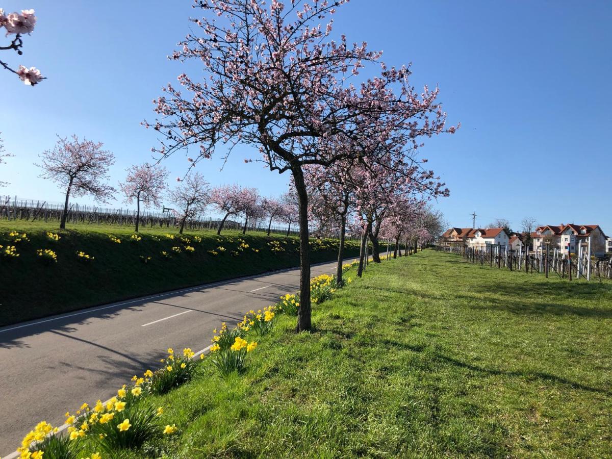 Gaestehaus Susanne Pfaffmann Hotel Landau in der Pfalz Kültér fotó